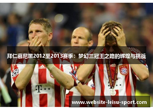 拜仁慕尼黑2012至2013赛季：梦幻三冠王之路的辉煌与挑战